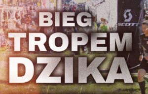 Bieg Tropem Dzika Gorzów Wielkopolski @ Gorzów Wielkopolski